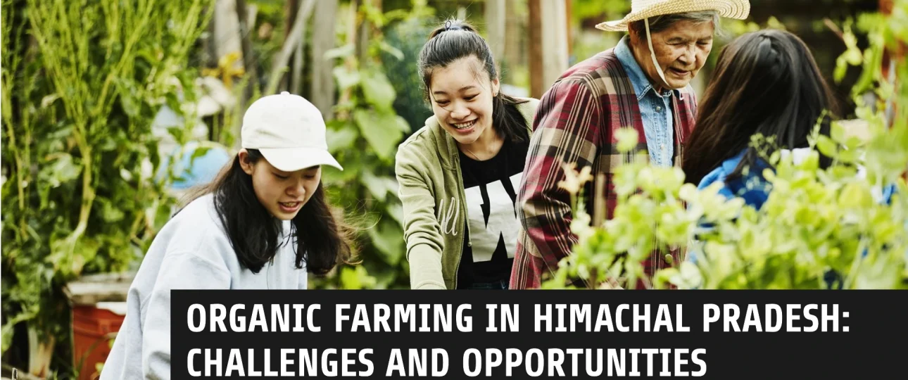 Organic Farming in Himachal Pradesh Challenges and Opportunities